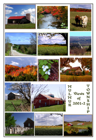 Click to see next picture