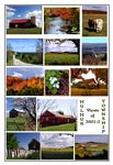 Click to see big picture (308x450 pixels; 104 KB)
